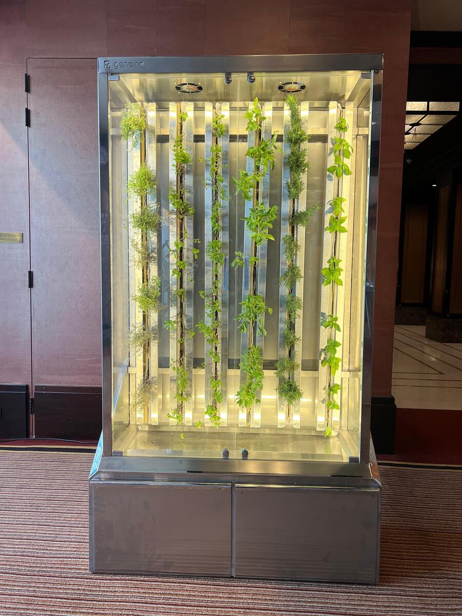 Geneina micro-farm installed at a hospitality venue