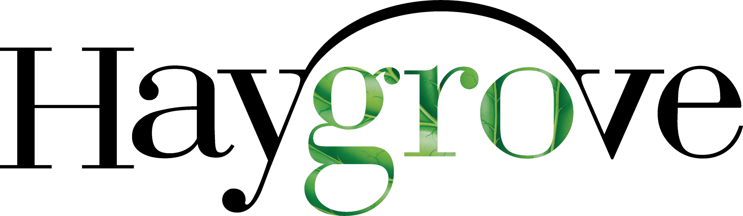 Haygrove logo