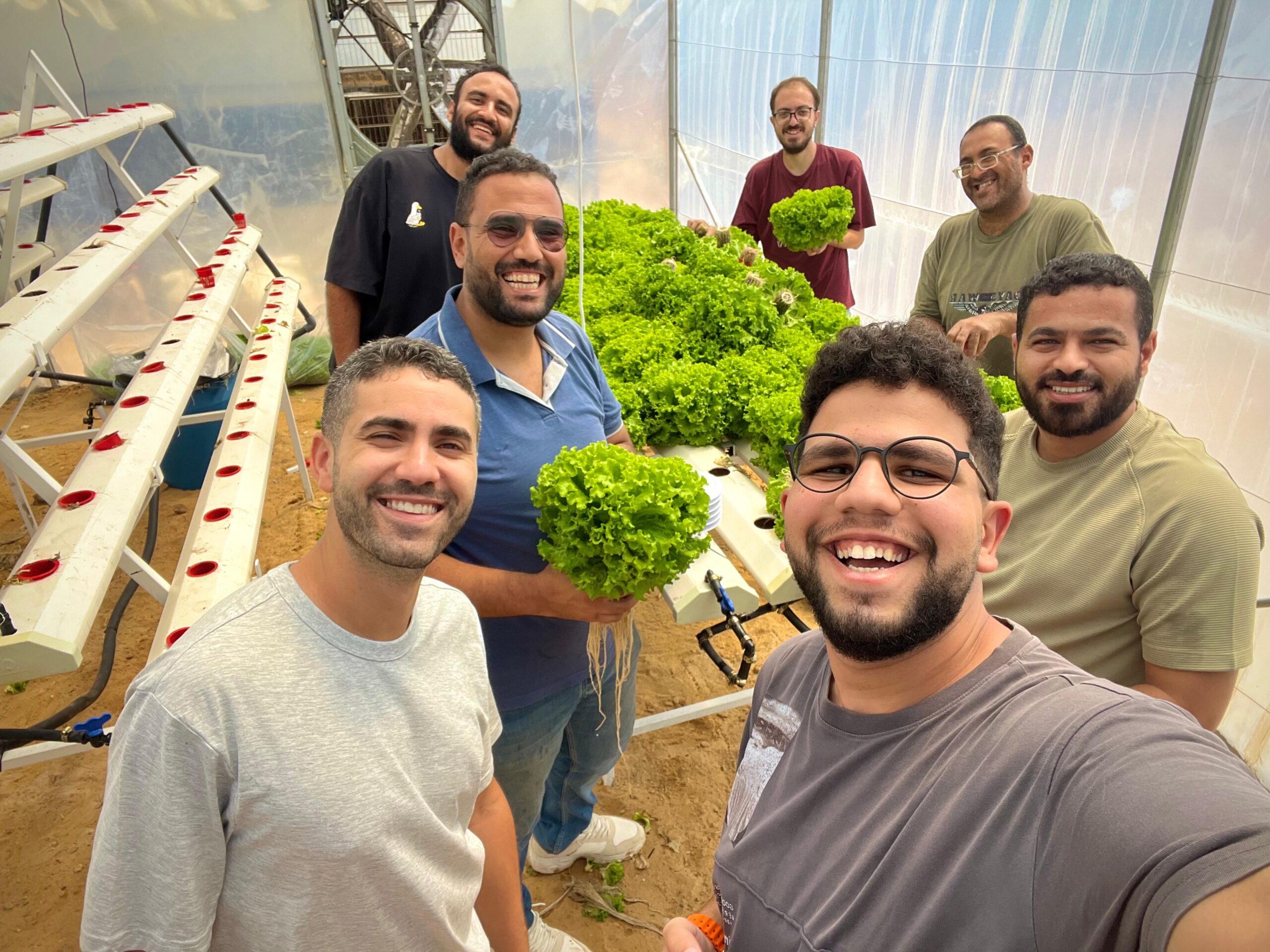 Geneina team holding fresh-harvested lettuce inside their hydroponic greenhouse